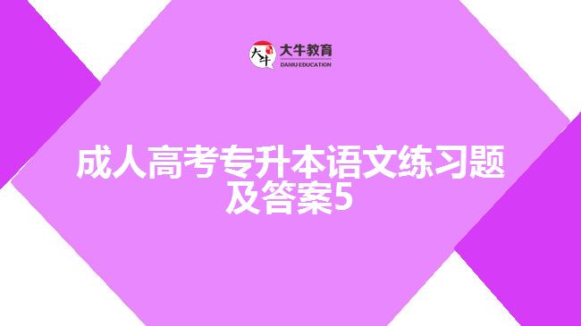 成人高考專升本語(yǔ)文練習(xí)題及答案5