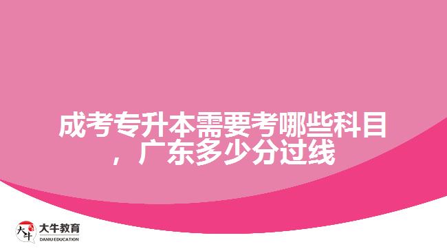 成考專升本需要考哪些科目，廣東多少分過線