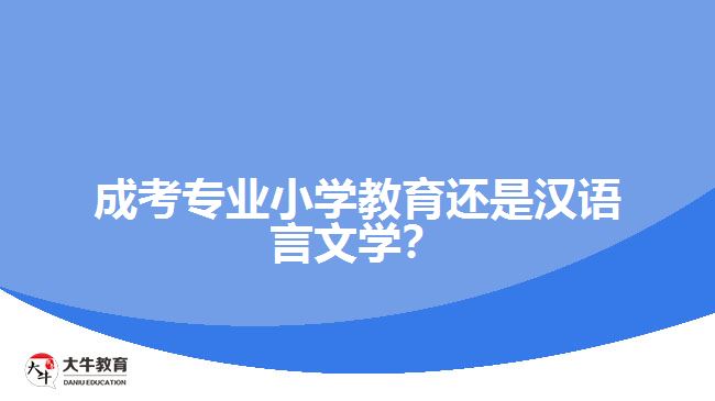 成考專業(yè)小學(xué)教育還是漢語言文學(xué)？