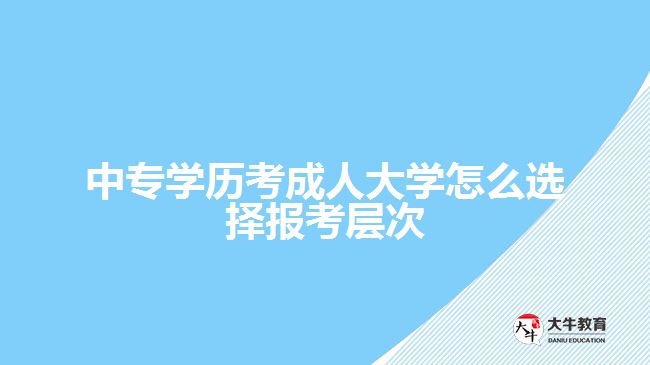 中專學(xué)歷考成人大學(xué)怎么選擇報考層次