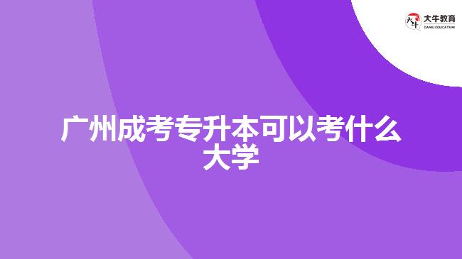 廣州成考專升本可以考什么大學