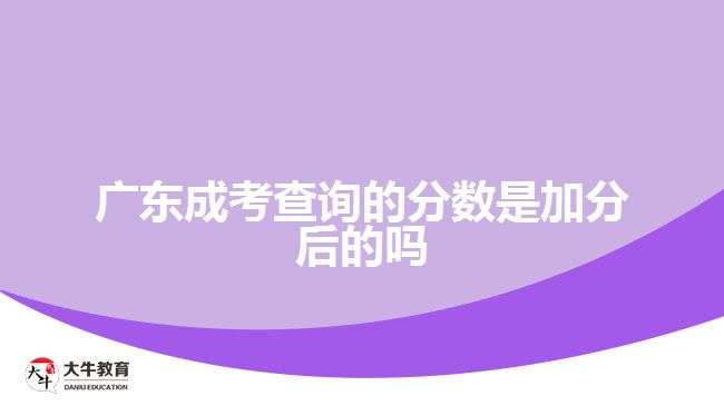 廣東成考查詢的分數是加分后的嗎