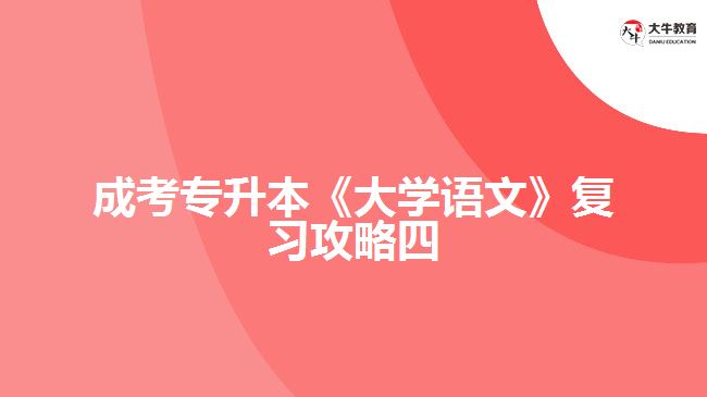 成考專升本《大學(xué)語(yǔ)文》復(fù)習(xí)攻略四