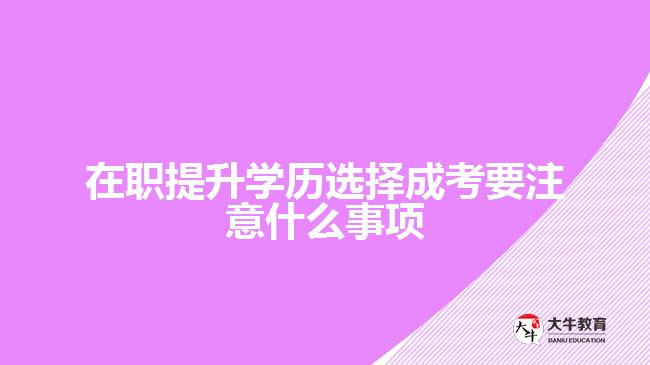 提升學(xué)歷選擇成考要注意什么事項(xiàng)