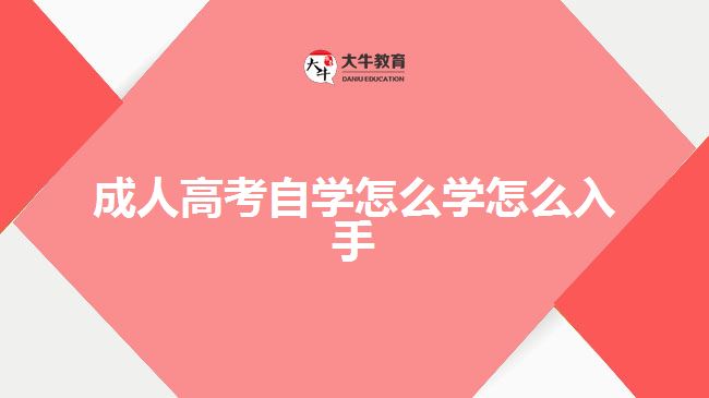 成人高考自學(xué)怎么學(xué)怎么入手