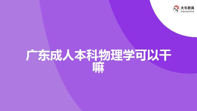 廣東成人本科物理學可以干嘛