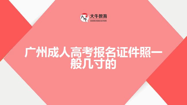 廣州成人高考報(bào)名證件照一般幾寸的