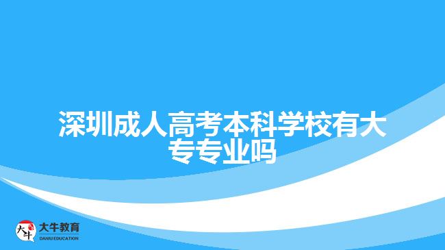 深圳成人高考本科學(xué)校有大專專業(yè)嗎