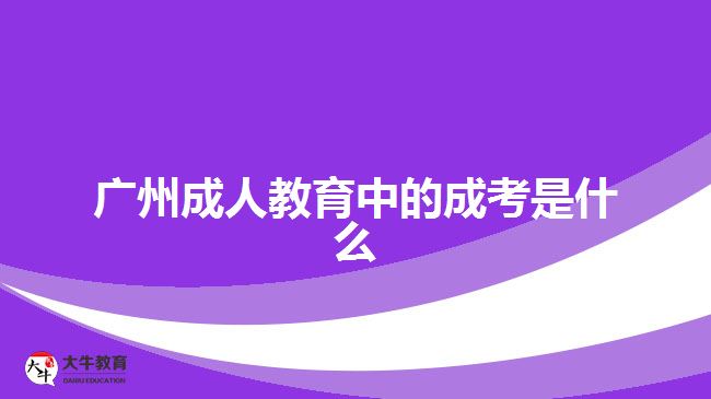 廣州成人教育中的成考是什么