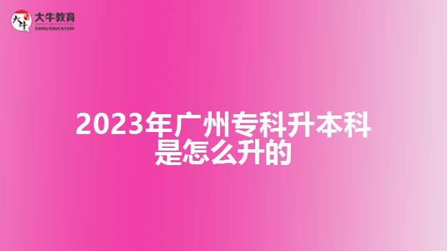 2023年廣州?？粕究剖窃趺瓷? width='170' height='105'/></a></dt>
						<dd><a href=