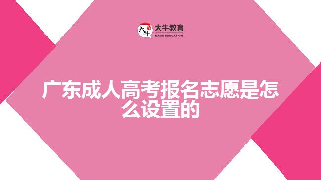 廣東成人高考報名志愿是怎么設(shè)置的