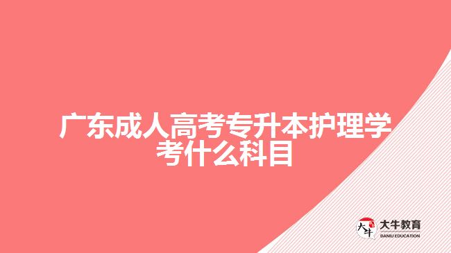 廣東成人高考專升本護理學(xué)考什么科目