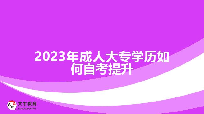 2023年成人大專學(xué)歷如何自考提升