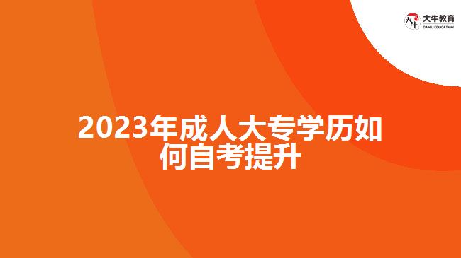 2023年成人大專學(xué)歷如何自考提升