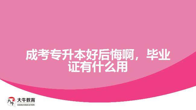 成考專升本好后悔啊，畢業(yè)證有什么用