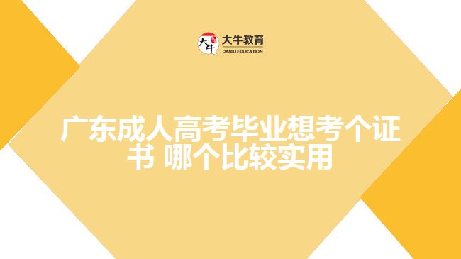 廣東成人高考畢業(yè)想考個(gè)證書 哪個(gè)比較實(shí)用