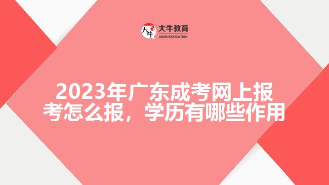 2023年廣東成考網(wǎng)上報考怎么報，學歷有哪些作用