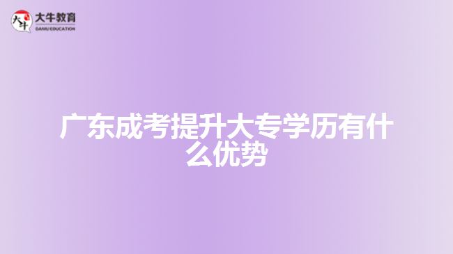 廣東成考提升大專學(xué)歷有什么優(yōu)勢