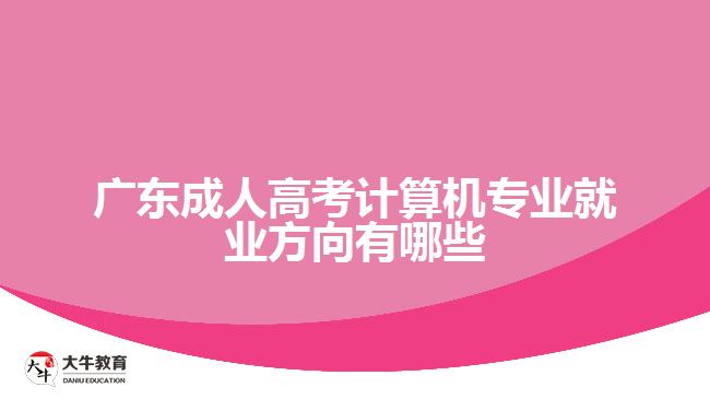 廣東成人高考計(jì)算機(jī)專業(yè)就業(yè)方向有哪些