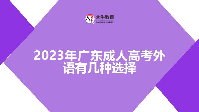 2023年廣東成人高考外語有幾種選擇