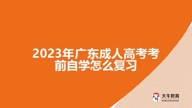 2023年廣東成人高考考前自學怎么復習