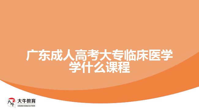 廣東成人高考大專臨床醫(yī)學學什么課程