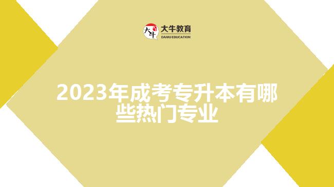 2023年成考專升本有哪些熱門(mén)專業(yè)