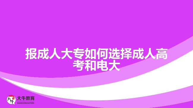 報(bào)成人大專(zhuān)如何選擇成人高考和電大