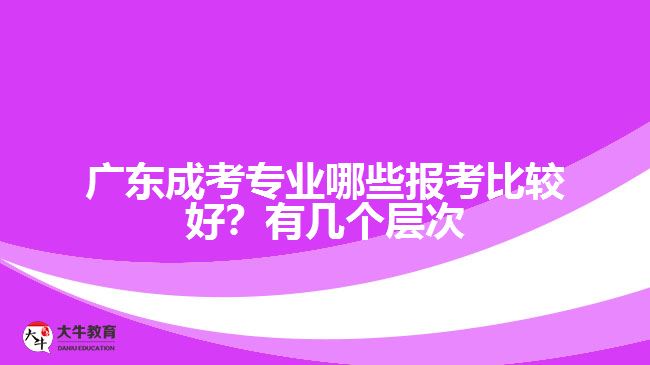 廣東成考專業(yè)哪些報考比較好？