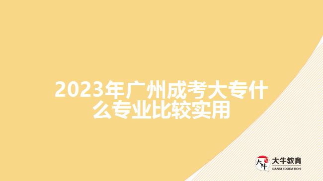 廣州成考大專什么專業(yè)比較實用