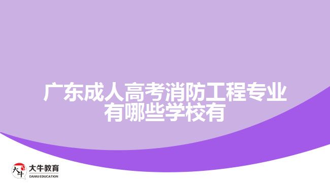 廣東成人高考消防工程專業(yè)有哪些學(xué)校有