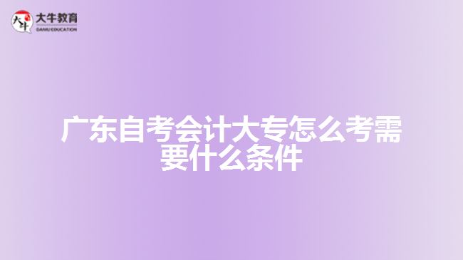 廣東自考會計大專怎么考需要什么條件