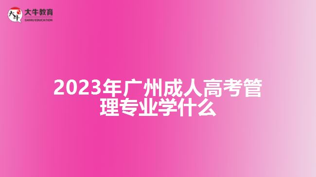 2023年廣州成人高考管理專業(yè)學(xué)什么