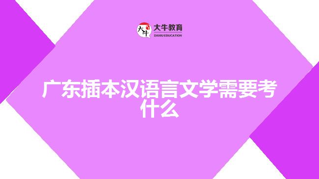 廣東插本漢語言文學(xué)需要考什么