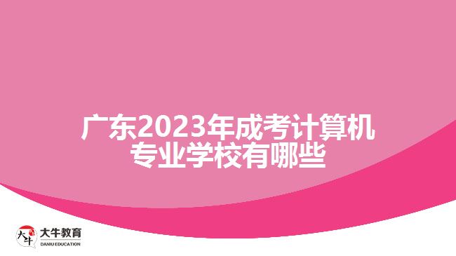 廣東2023年成考計算機專業(yè)學校有哪些