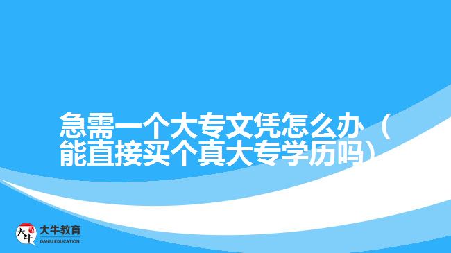 急需一個(gè)大專文憑怎么辦