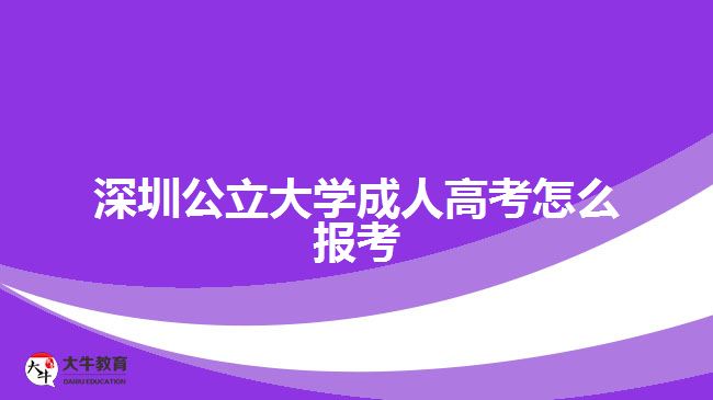 深圳公立大學(xué)成人高考怎么報(bào)考