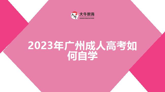 2023年廣州成人高考如何自學