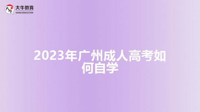 2023年廣州成人高考如何自學