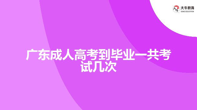 廣東成人高考到畢業(yè)一共考試幾次