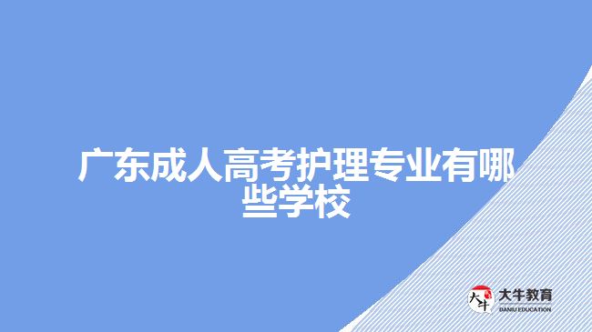 廣東成人高考護理專業(yè)有哪些學校