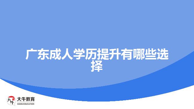 廣東成人學(xué)歷提升有哪些選擇