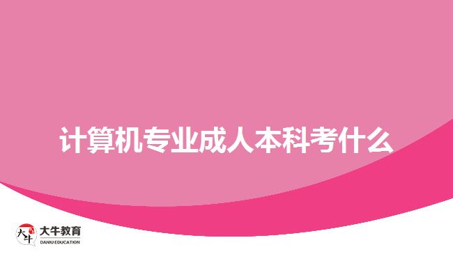 計(jì)算機(jī)專業(yè)成人本科考什么