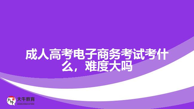 成人高考電子商務(wù)考試考什么難度大嗎