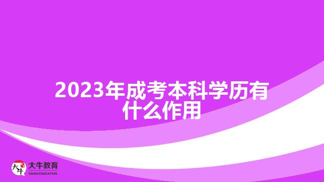 2023年成考本科學歷有什么作用