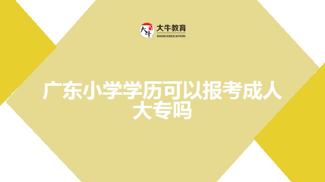 廣東小學(xué)學(xué)歷可以報(bào)考成人大專嗎