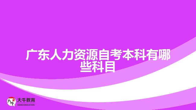 廣東人力資源自考本科有哪些科目