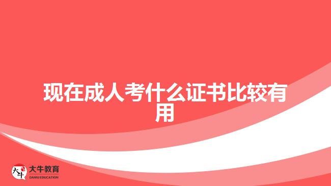 現(xiàn)在成人考什么證書(shū)比較有用