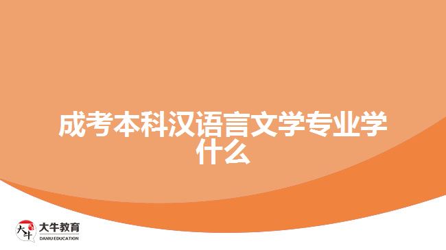 成考本科漢語言文學(xué)專業(yè)學(xué)什么