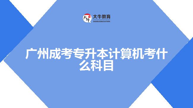 廣州成考專升本計算機考什么科目